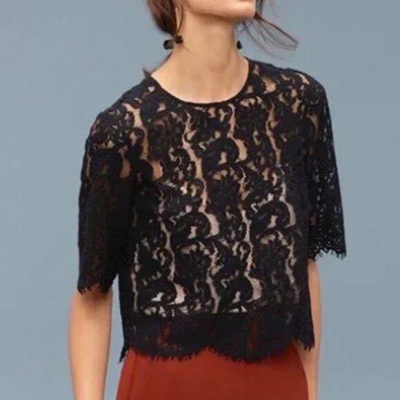 Aritzia Wilfred Black Lace Lapointe Blouse - Size XS - Picture 1 of 3